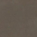 B48-Glossy Light Coffee