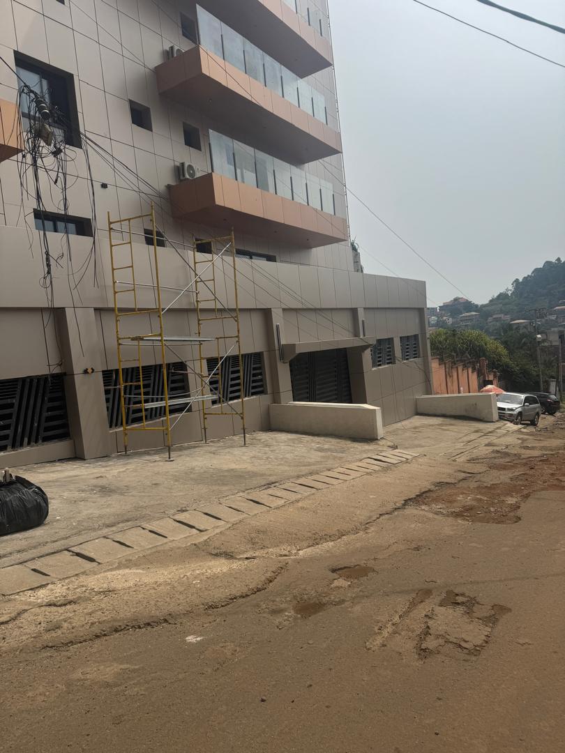 Cameroon Aluminum Composite Panel Building Facade Project
