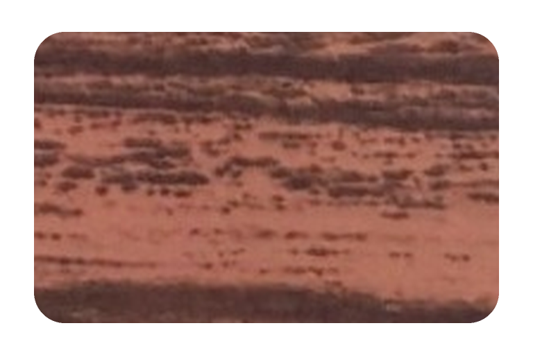 Rose Wood ACP color swatch