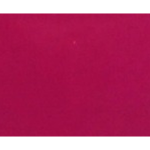 Glossy Pale Rose
