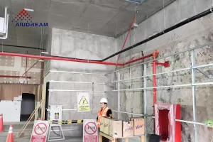 Lima Peru Interior Wall Project