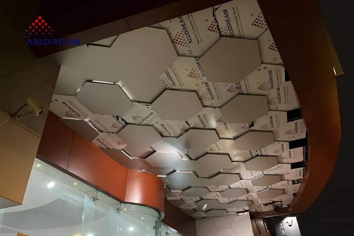 Mexico Interior Ceiling Project