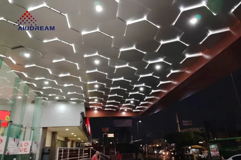 Mexico Interior Ceiling Project