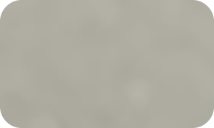 Aludream ® 807-Champagne Silver