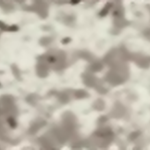 Bianco Tapaid