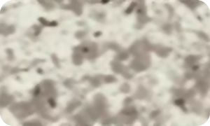 Aludream ® B02-Bianco Tapaid