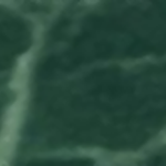 Medium Green