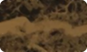Aludream ® B12-Black Agate